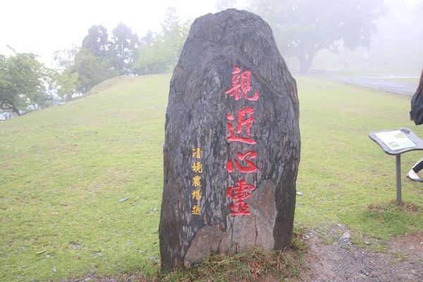 清境農場-青青草原-近距離體驗羊咩咩
