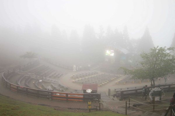 清境農場-青青草原-近距離體驗羊咩咩