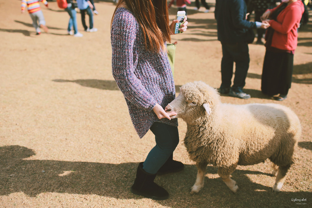 清境農場的暴走紀實
