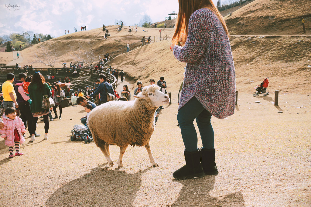 清境農場的暴走紀實