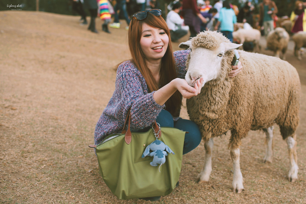 清境農場的暴走紀實