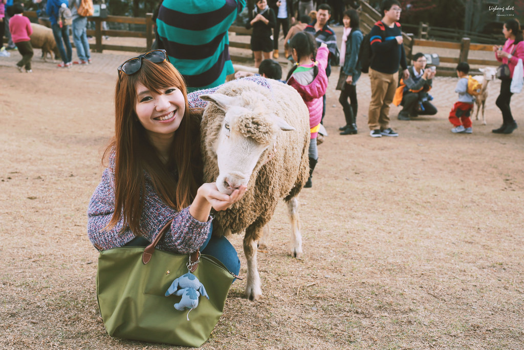 清境農場的暴走紀實