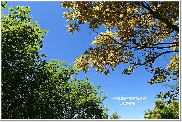 清境農場32.JPG