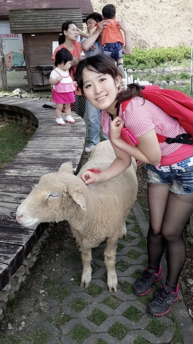 清境農場：【羽諾遊記】清境農場一日遊