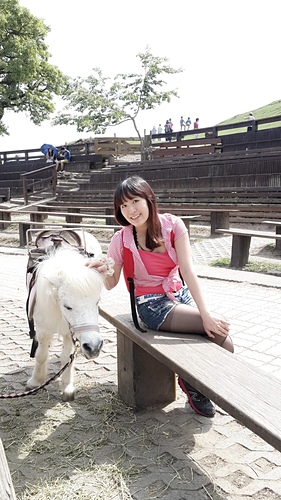 清境農場：【羽諾遊記】清境農場一日遊