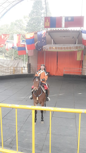 清境農場：【羽諾遊記】清境農場一日遊