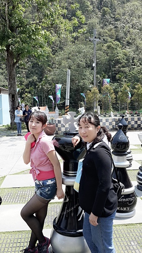 清境農場：【羽諾遊記】清境農場一日遊