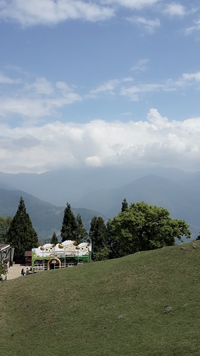 清境農場：【羽諾遊記】清境農場一日遊