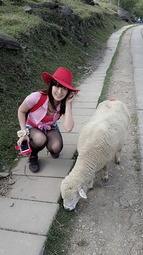 清境農場：【羽諾遊記】清境農場一日遊