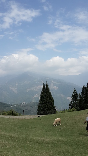 清境農場：【羽諾遊記】清境農場一日遊