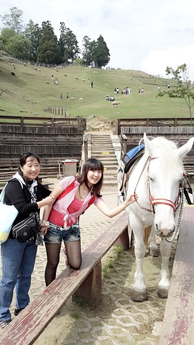 清境農場：【羽諾遊記】清境農場一日遊