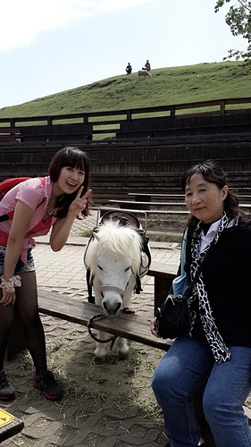 清境農場：【羽諾遊記】清境農場一日遊