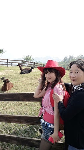 清境農場：【羽諾遊記】清境農場一日遊