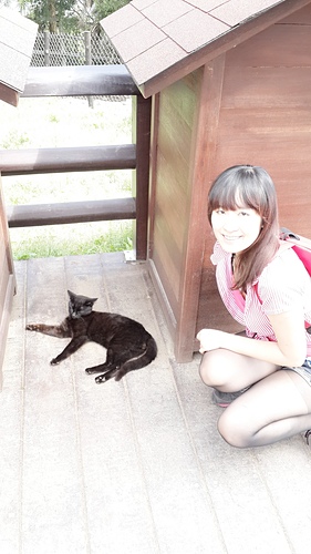 清境農場：【羽諾遊記】清境農場一日遊