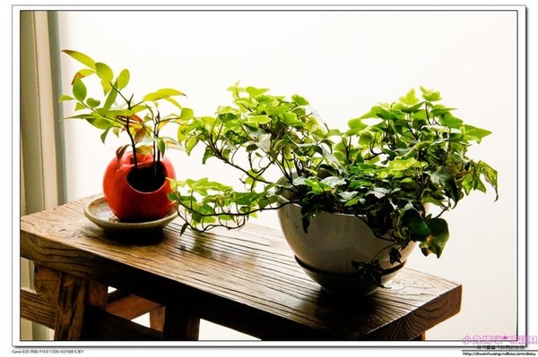 心月懷石料理:【台北日本料理】☼心月懷石料理☼精緻如藝術品般的料理/隱身於辦公大樓裡高級料理/101大樓附近