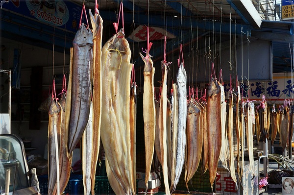 南方澳漁港：[攝影小旅行]宜蘭 南方澳漁港~漁港也有異國fu喔