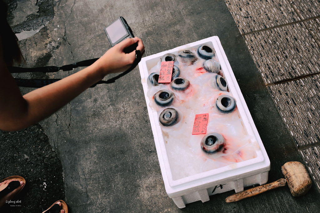 宜蘭放風趴趴行