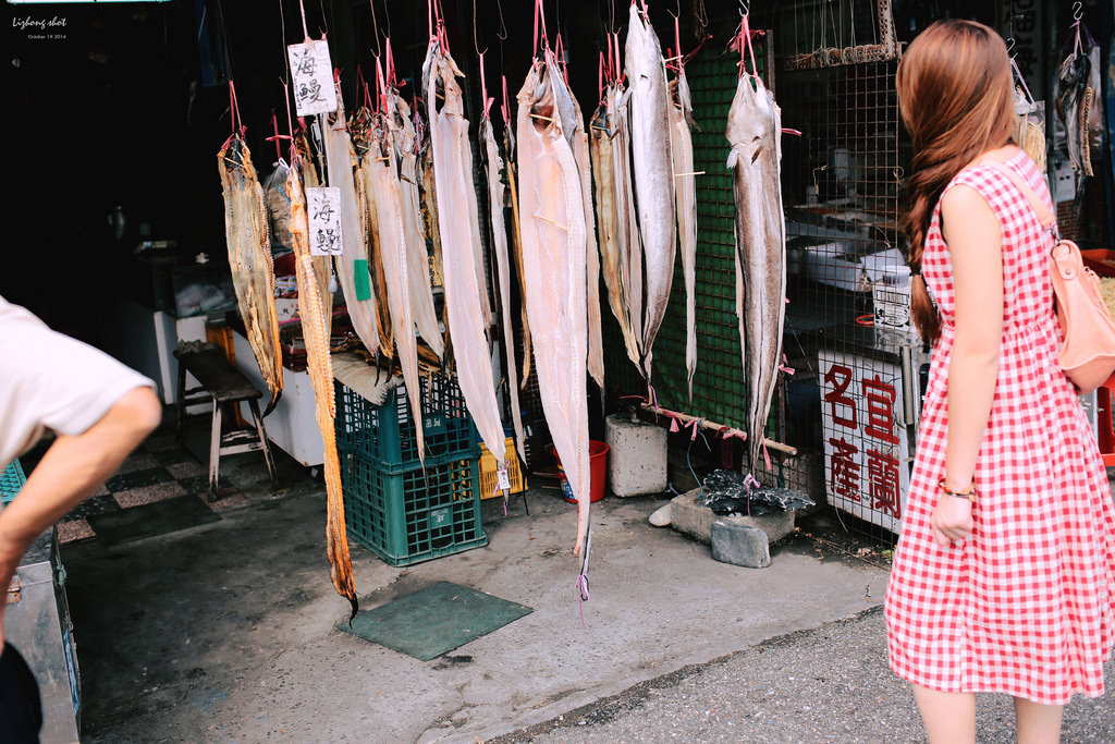 宜蘭放風趴趴行