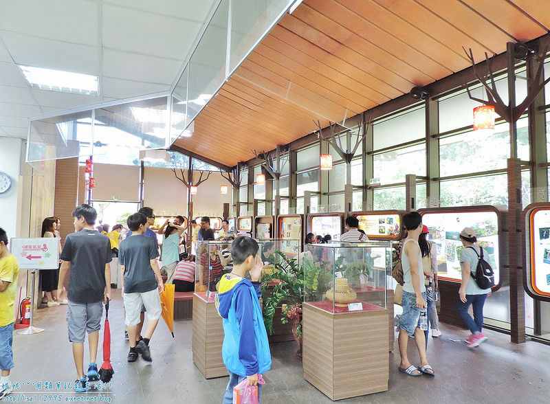 DSCN1832 (2000x1470)