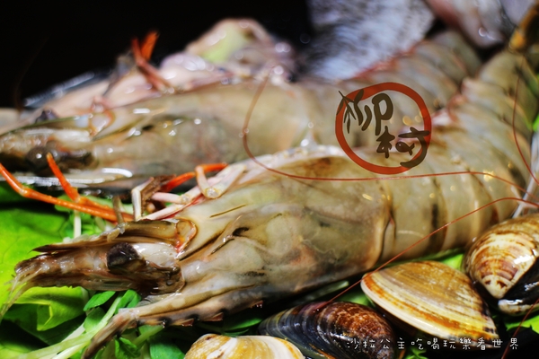 柳村一品鍋:一個人也能吃的鴛鴦鍋『柳村一品鍋』信義火鍋/涮涮鍋/捷運永春站