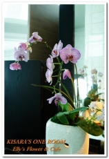 Elly's Flower & caf'e台北花苑時尚整合館:台北上空美麗花園咖啡的最終一瞥── Elly’s Flower & Cafe