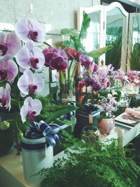 10492274_4376025455685_2252885177009246955_n