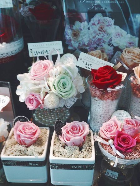 1919639_4376025975698_9137271255589702253_n