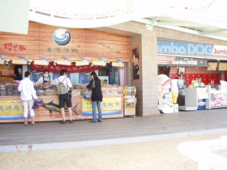 三仙台：見識台東[三仙台]