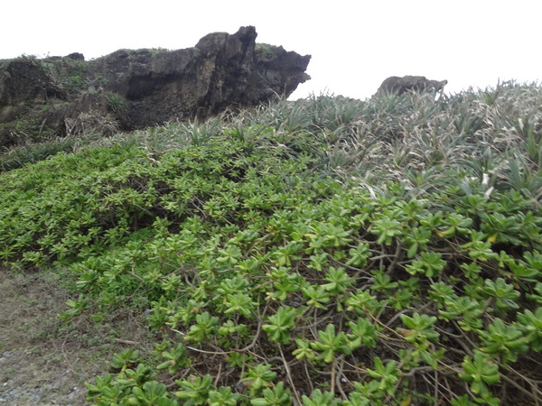 cm20131214___5415b5e59daa4529f359460b4e1