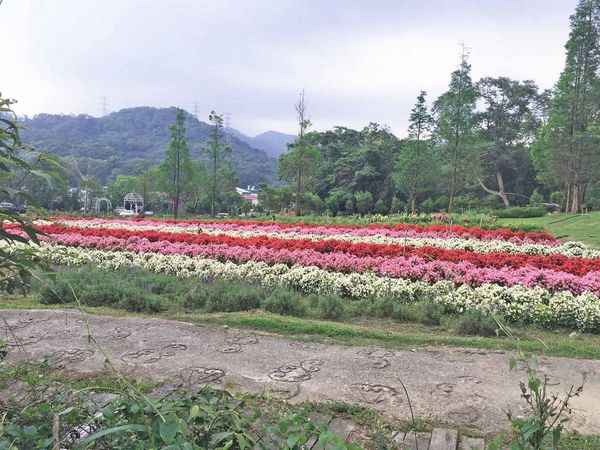 【桃園旅遊】後慈湖兩蔣文化園區-體驗管制區內幽靜風景