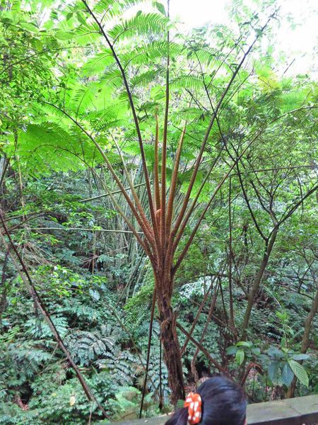 【桃園旅遊】後慈湖兩蔣文化園區-體驗管制區內幽靜風景
