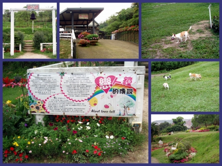 春天農場：出家人的桃花源～春天農場