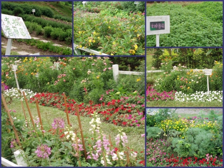 春天農場：出家人的桃花源～春天農場