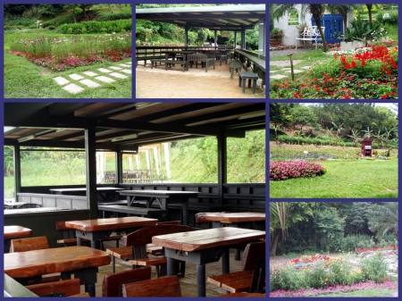 春天農場：出家人的桃花源～春天農場