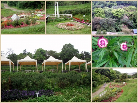 春天農場：出家人的桃花源～春天農場