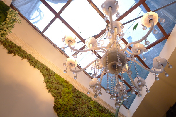 柏林頓花園 Paddington Garden(敦南店)：柏林頓花園