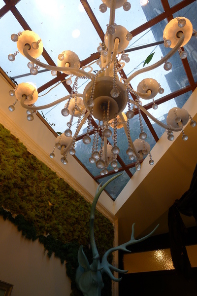 柏林頓花園 Paddington Garden(敦南店)：柏林頓花園