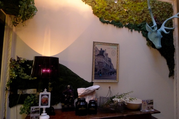 柏林頓花園 Paddington Garden(敦南店)：柏林頓花園