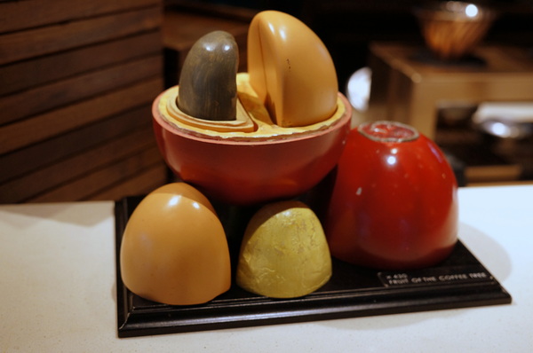 Barista Premium西雅圖極品嚴焙(忠孝延吉店):(胖樺食記)台北東區”西雅圖極品嚴焙咖啡館Barista Premium “。歐式優雅下午茶氛圍。