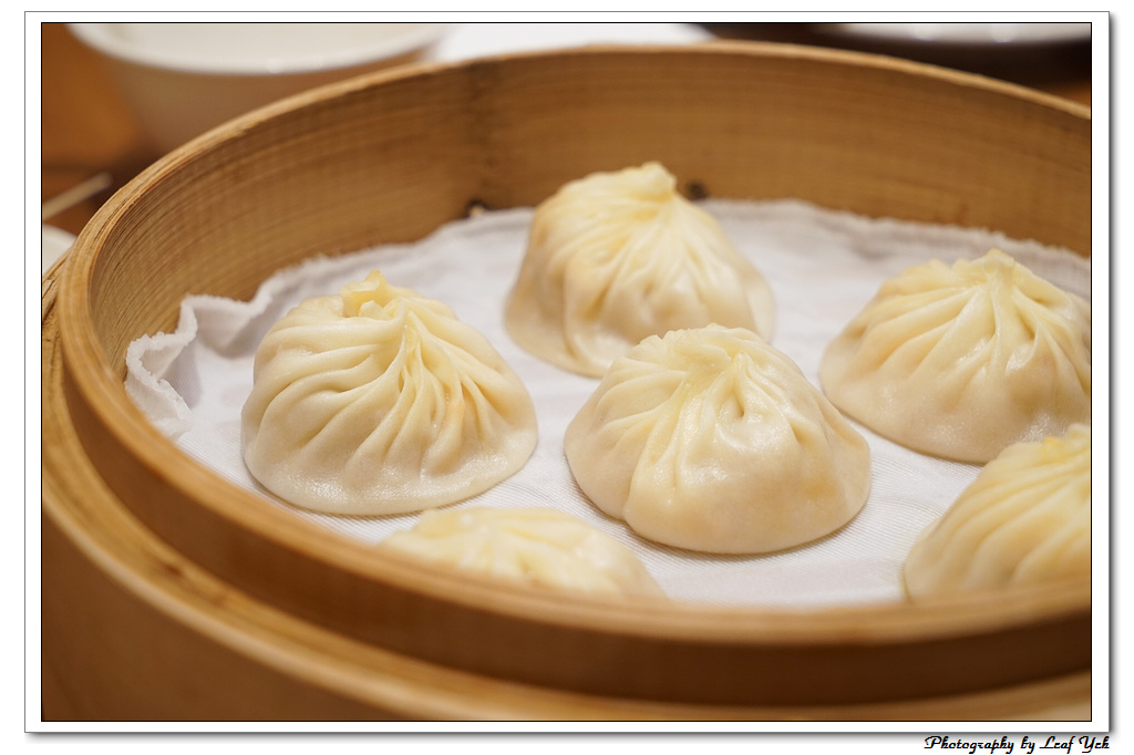 葉影瓶像版權所有