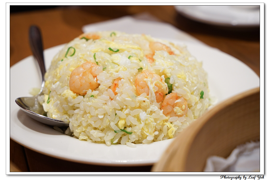 葉影瓶像版權所有