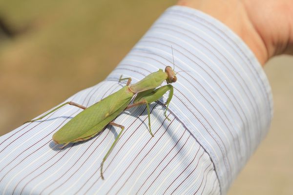樂活通霄慢漫遊,白色戀人,鹽來館