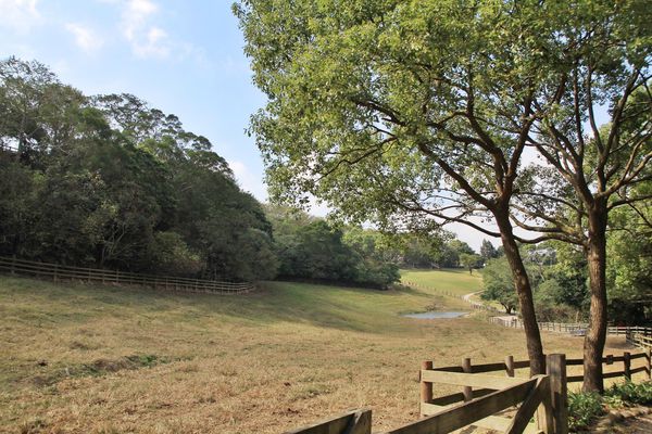 樂活通霄慢漫遊,白色戀人,鹽來館