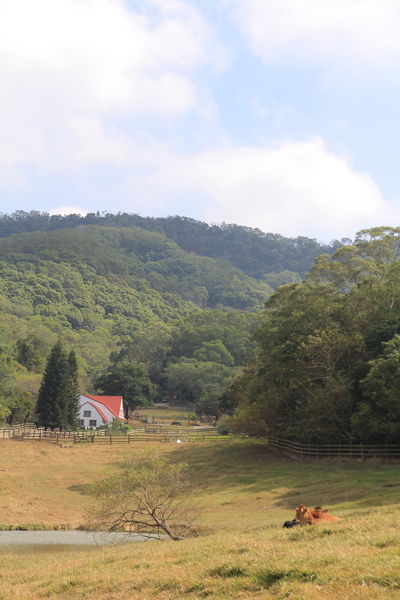 樂活通霄慢漫遊,白色戀人,鹽來館