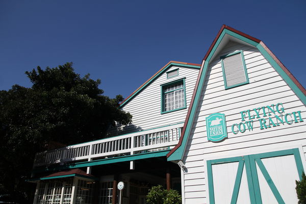 樂活通霄慢漫遊,白色戀人,鹽來館