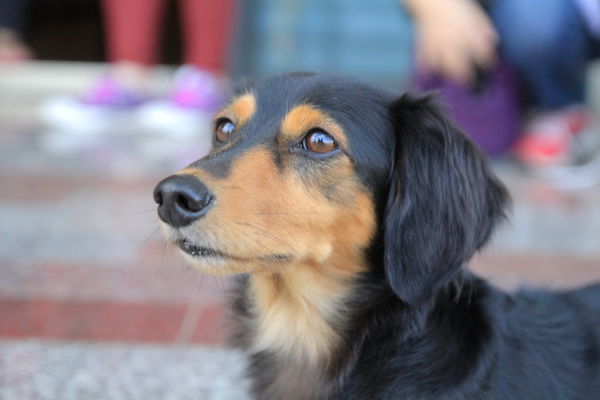 樂活通霄慢漫遊,白色戀人,鹽來館