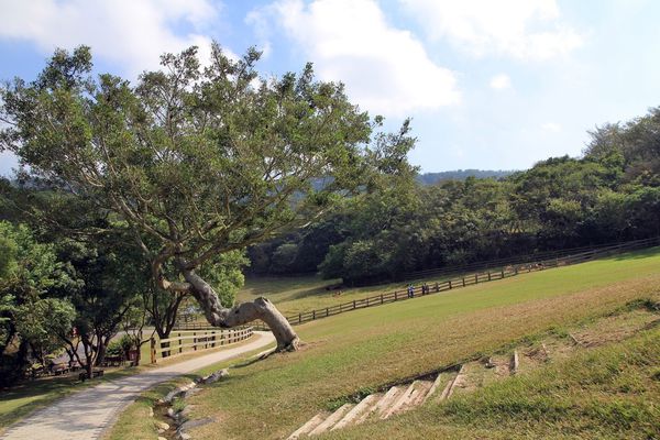 樂活通霄慢漫遊,白色戀人,鹽來館