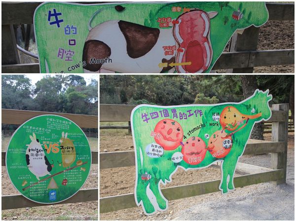 樂活通霄慢漫遊,白色戀人,鹽來館