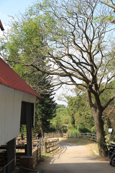 樂活通霄慢漫遊,白色戀人,鹽來館