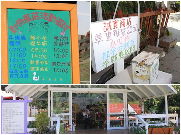 樂活通霄慢漫遊,白色戀人,鹽來館